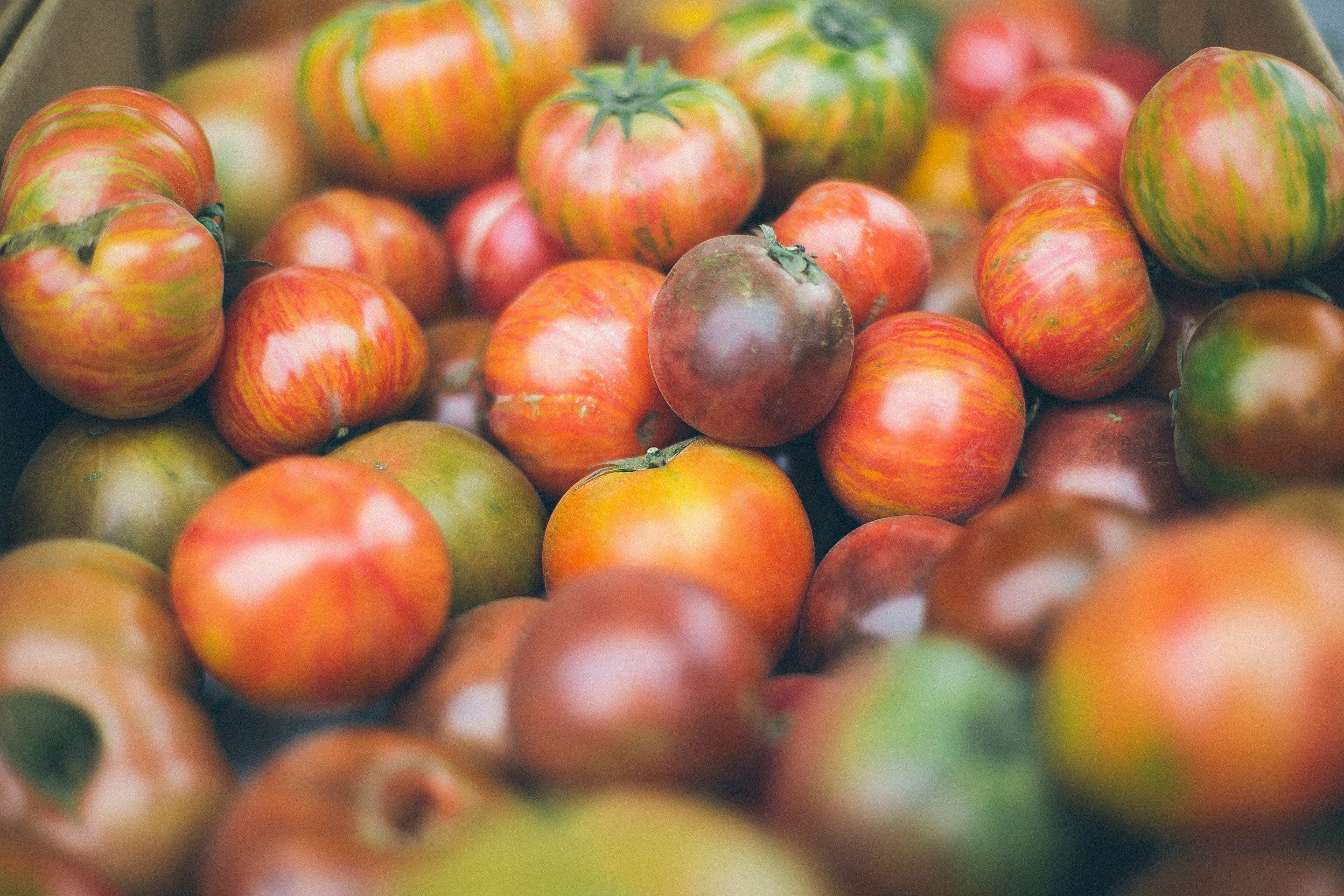 Tomate