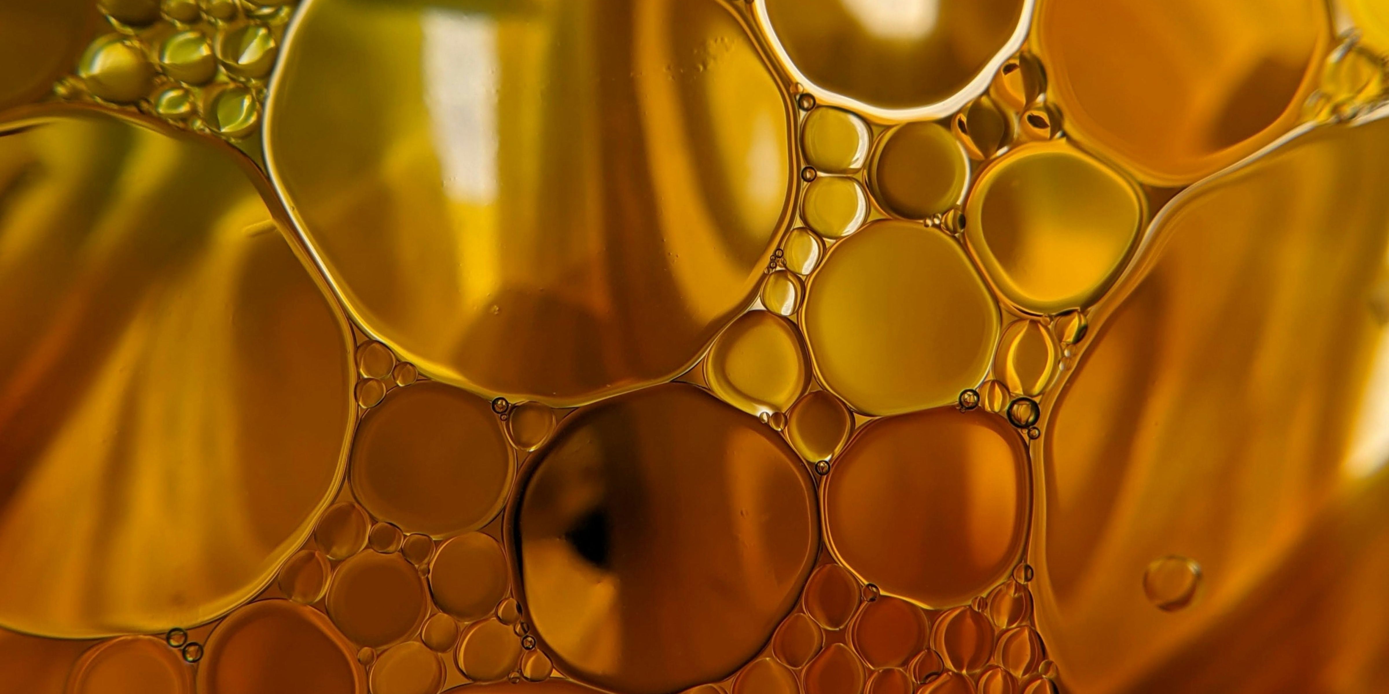 Omega 3, 6 und 9 - Worauf sollte ich bei meiner Ernährung achten? Und was sind eigentlich diese gesättigten Fettsäuren?
