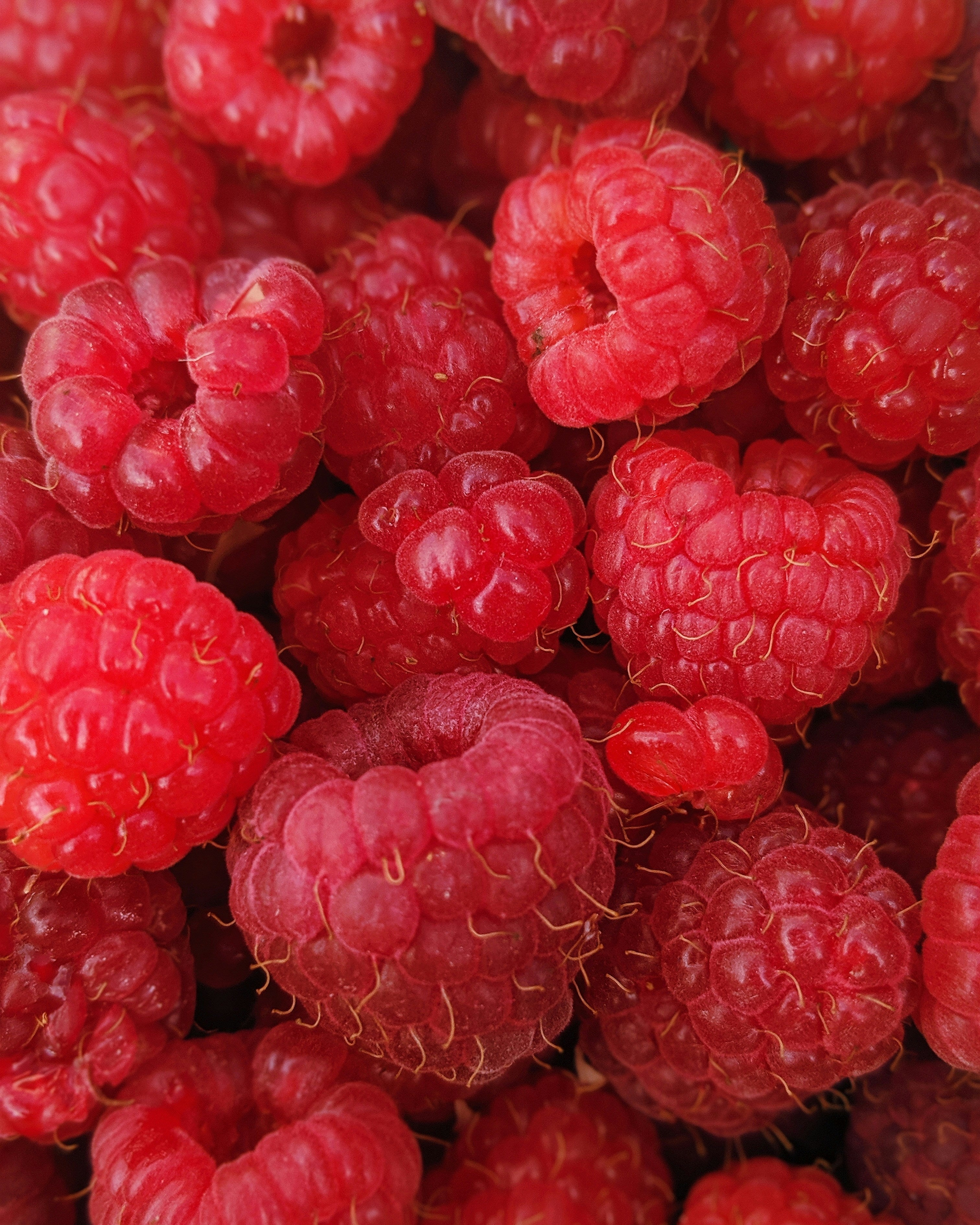 Himbeere